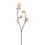 Dekozweig Walnuss VOLTER mit Früchten, creme, 70cm
