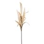 Dekozweig Borstenhirse KENFIR mit Rispen, creme, 70cm