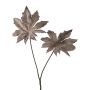Künstlicher Aralia Zweig JOMLER, anthrazit, 50cm