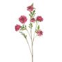 Kunstzweig Scabiosa RUXTER, rosa, 115cm