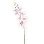 Künstlicher Phalaenopsis Orchideenzweig AXELOR, weiß-rosa, 85cm