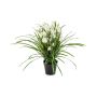 Kunstblume Cymbidium Orchidee JANILA im Dekotopf, weiß, 85cm