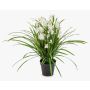 Kunstblume Cymbidium Orchidee JANILA im Dekotopf, weiß, 85cm