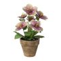 Dekoblume Christrose ILLUME, Dekotopf, lila-grün, 30cm