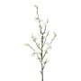 Dekozweig Quittenblüten SLORNE mit Blüten, weiß, 85cm