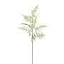 Kunstzweig Asparagus Plumosus PLAVIN, grün, 85cm