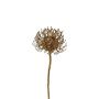 Dekoblume Nadelkissen Protea SONDYL, gold, 50cm