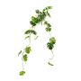 Künstliche Hängepflanze Philodendron monstera deliciosa GRINTO auf Steckstab, 80cm