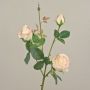 Kunstrosen Zweig DELILAH, hellrosa, 55cm, Ø6cm