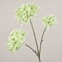 Künstliche Kronenblume GULIO, weiß-grün, 75cm, Ø10-15cm