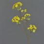 Unechter Ahorn Zweig ALHENA mit Blüten, gelb, 70cm, Ø5-9cm