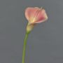 Künstliche Calla MIRAC, rosa-gelb, 75cm, 12x15cm
