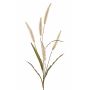 Künstliches Lampenputzergras HIWA, Rispen, beige, 135cm