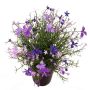 Dekoblume Fleißiges Lieschen GISINDA im Dekotopf, lila-flieder, 25cm