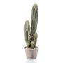 Kunst Kaktus San Pedro DACON im Dekotopf, grün, 55cm
