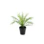 Kunstpflanze Farn Rippenfarn CASCOT, grün, 20cm