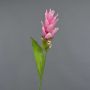 Unechte Blume Kurkuma LAROUCO, rosa, 75cm, Ø8cm
