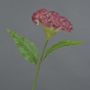Blume künstlich Hahnenkamm ANUBIS, pink, 60cm, Ø14cm