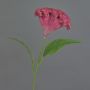 Blume künstlich Hahnenkamm ANUBIS, violett, 60cm, Ø14cm