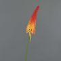 Künstliche Blume Fackellilie MUNDAKA, rot-orange, 85cm, Ø6cm