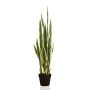 Künstliche Sansevieria ELENE, grün-gelb, 95cm