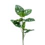 Kunstpflanze Philodendron Monstera adansonii BERLANGA, Steckstab, 75cm