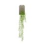 Kunst Sukkulente Rhipsalis Hänger POMER auf Steckstab, grün, 90cm