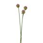 Kunstblumen Allium Blüten Bund LAMDA, violett-grün, 65cm, Ø4cm
