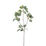 Künstlicher Eukalyptus Zweig KRISZTOFER, grün, 90cm