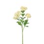Künstliche Sedum spectabile Blüte EUFRASIA, creme, 55cm