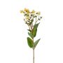 Deko Zweig Johanniskraut CANNO mit Blüten, Früchte, gelb-weiß, 65cm