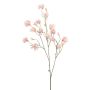 Deko Zweig Lathyrus latifolius GERJA, hellrosa, 90cm