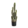 Künstlicher Kaktus San Pedro FARIN, grün, 75cm