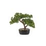 Kunst Bonsai Pinie KANYA in Pflanzschale, 25cm