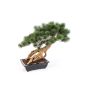 Kunst Bonsai Pinie SARINU in Pflanzschale, 55cm