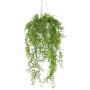 Dekohänger Moosfarn Blumenampel KLUHER, Zementtopf, grün, 90cm