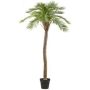Kunst Macauba Palme HADLEY, Dekotopf, 235cm