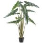 Kunstpflanze Alocasia Sanderiana NARLO, Dekotopf, grün, 130cm