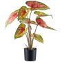 Kunstpflanze Caladium STAHER, Wurzeln, rot-grün, 55cm