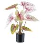 Kunstpflanze Caladium STAHER, Wurzeln, rot-weiß-hellgrün, 55cm