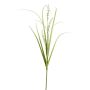 Dekozweig Lampenputzergras KOVLIN mit Rispen, creme-grün, 65cm