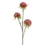 Kunstblumen Zweig Allium GLORF, pink, 60cm