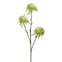 Kunstblumen Zweig Allium GLORF, grün-weiß, 60cm