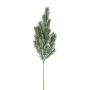 Dekozweig Blautanne SLOVAN, gefroren, weiß-grün, 60cm