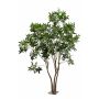 Künstlicher Baum Pachira RAXELI auf Platte, Kunststämme, grün, 285cm