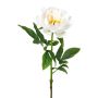 Kunstblume Pfingstrose PEFIN, weiß, 50cm