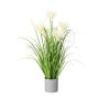 Dekogras Pampasgras VILMO im Dekotopf, Rispen, creme, 65cm