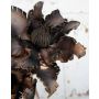 Künstliche Clematis Kunststoffschaum CLEMENTINA, braun, 85cm, Ø30cm