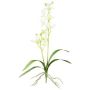 Kunst Dendrobium Sonia Orchidee NELTI, Steckstab, Wurzeln, hellgrün, 60cm