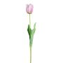 Künstliche Blume Papageientulpe SOLAL, rosa, 65cm